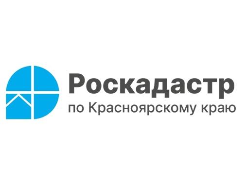 Про сведения ограниченного доступа рассказали в краевом Роскадастре.